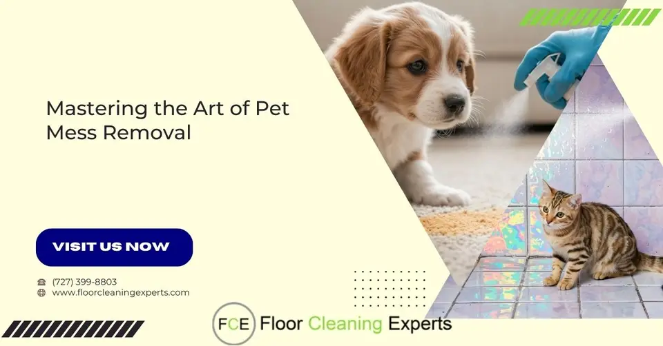 FI pet mess cleaning