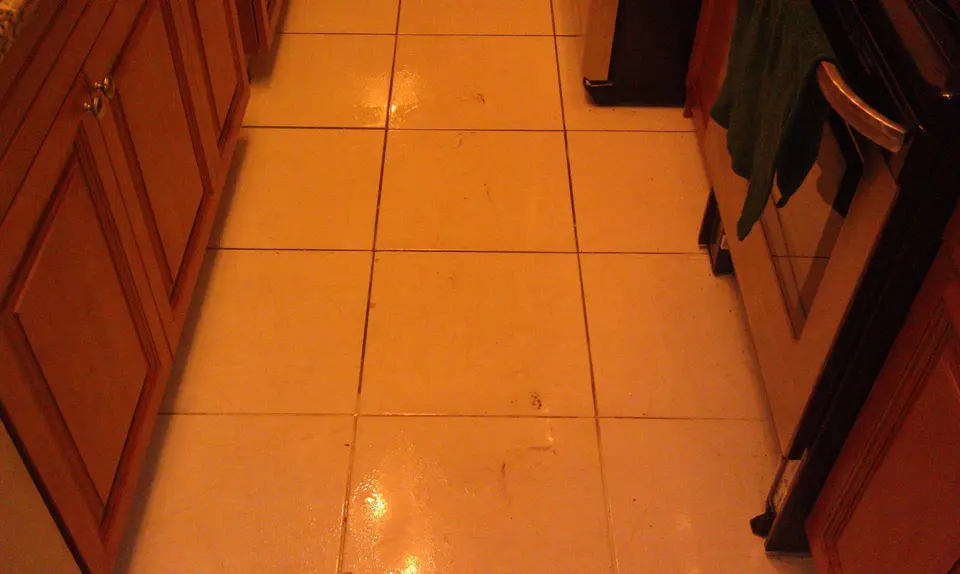 Tampa Tile and Grout Cleaning and Sealing Before and After