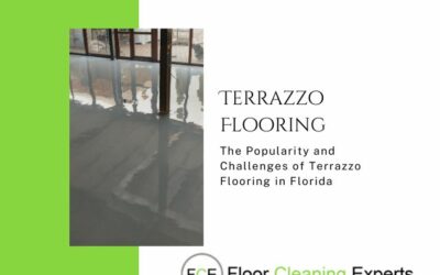 The Popularity and Challenges of Terrazzo Flooring in Florida